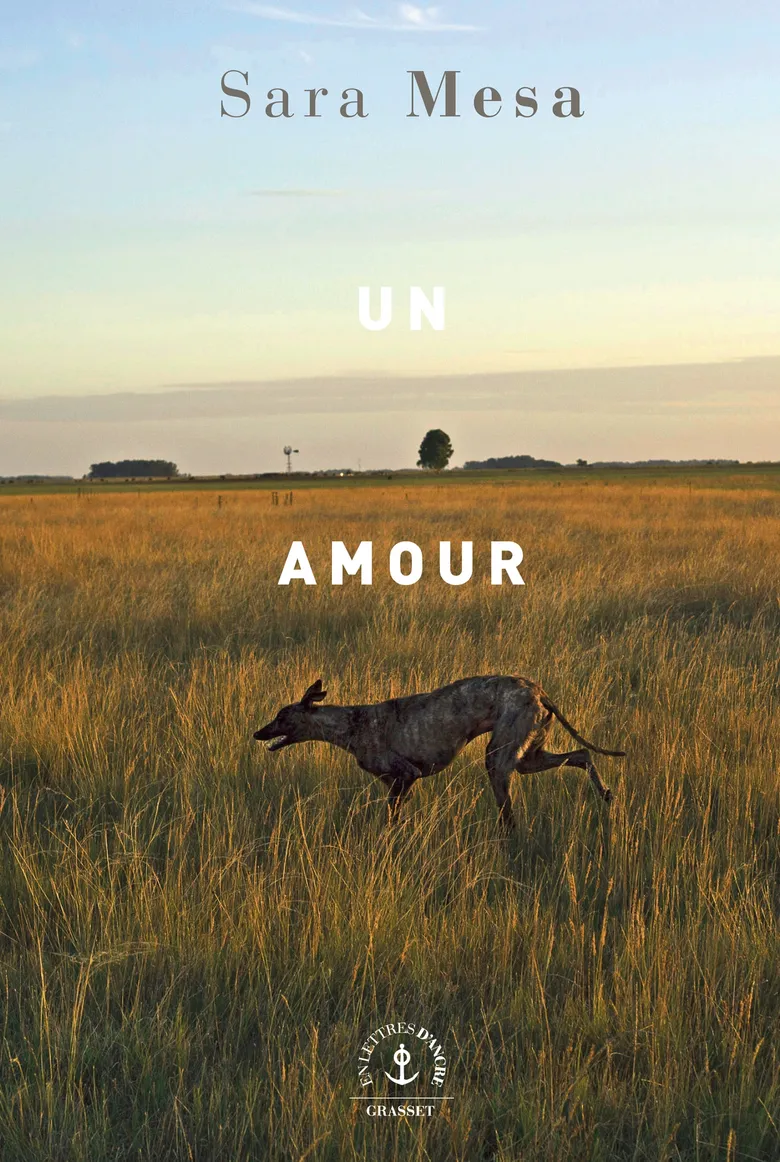 صورة توضيحية للمقال: Un Amour