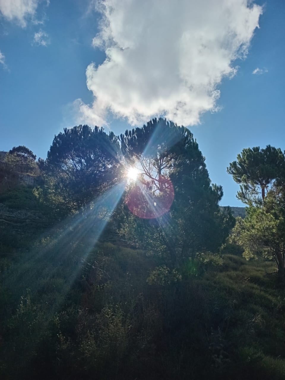 ما يقوله الخريف للشتاء