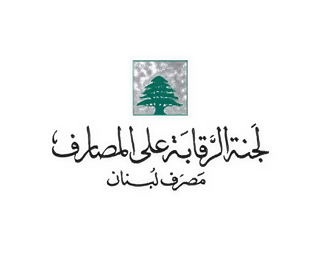 لجنة داخل اللجنة: كيف نرفع السرية المصرفية؟