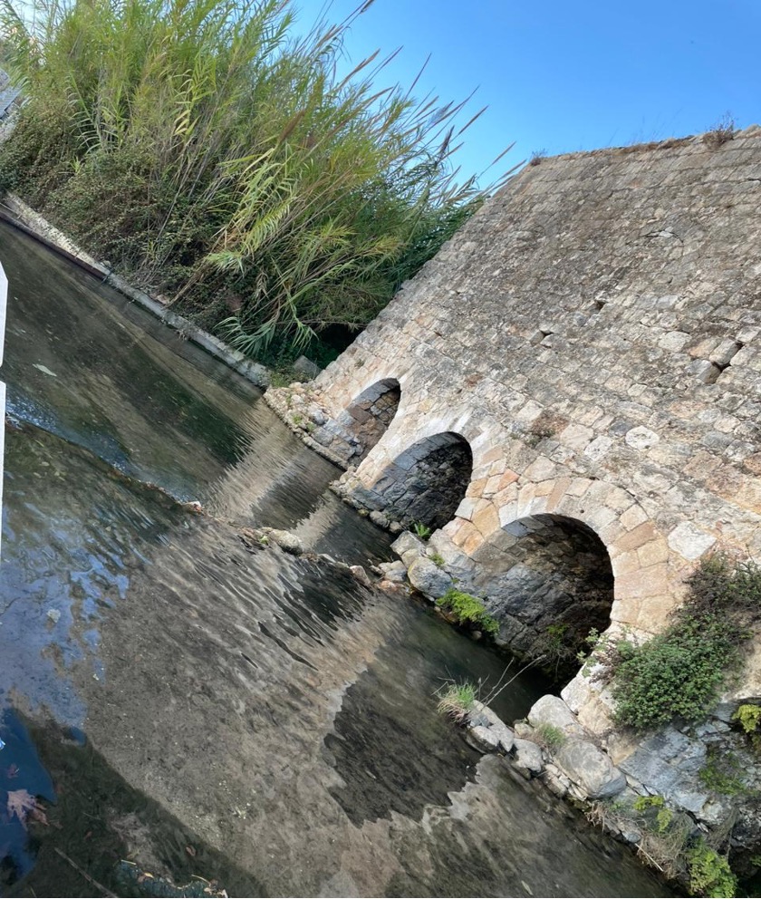 صورة توضيحية للمقال: نبع رشعين سرّ الخير والازدهار.. والعبرة في حمايته