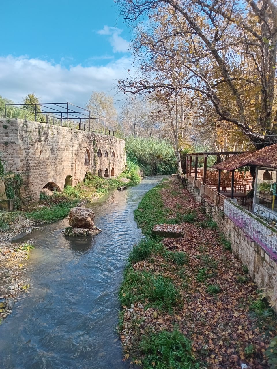 طاحون المرداشيّة لغذاء الجسد والذهن