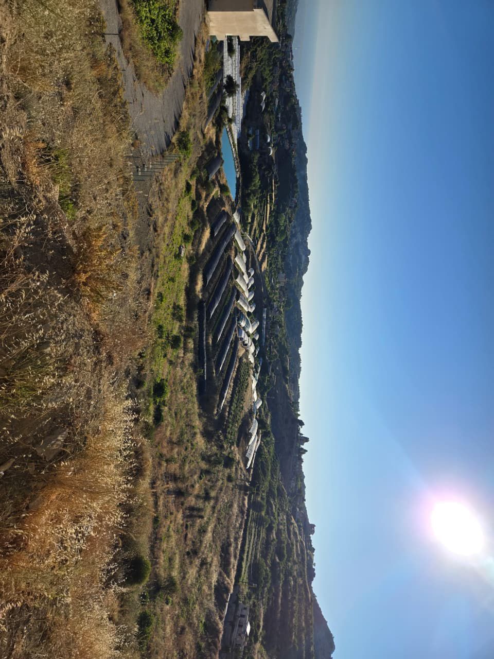 صورة توضيحية للمقال: جامعيّون يختارون الزراعة وتربية الماشية مسارًا مهنيًّا في زمن الهجرة والشهادات